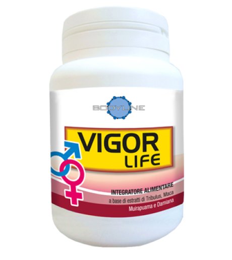 VIGOR LIFE 40CPS