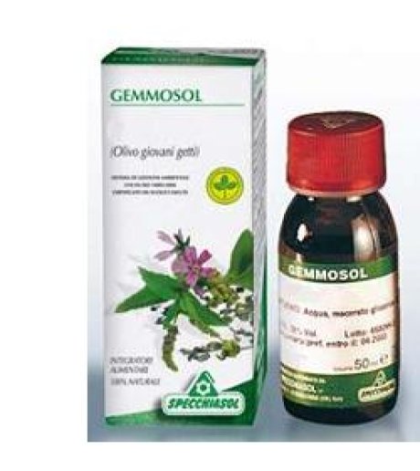 GEMMOSOL 15 CARPINO 50ML MG