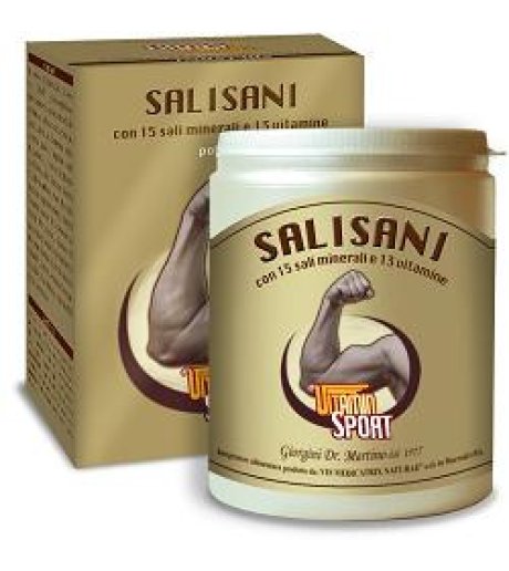 SALISANI VITAMINSPORT 360G POL