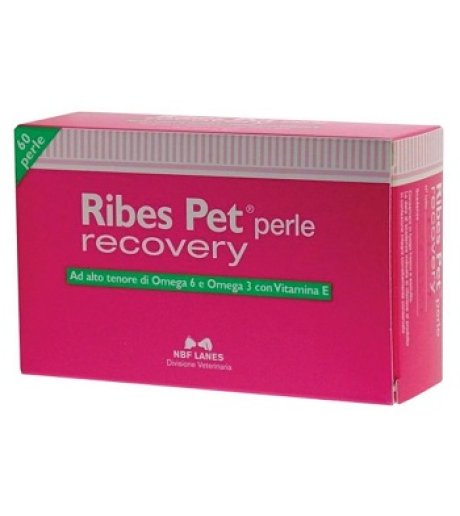 RIBES PET RECOVERY 60PRL