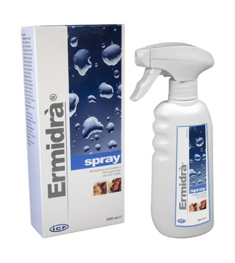 ERMIDRA'SPRAY 300ML