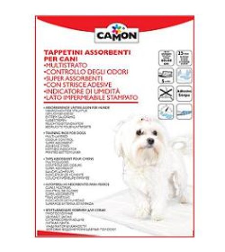 TAPPETINO ASS CANI 60X60 25PZ
