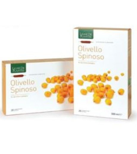 OLIVELLO SPINOSO BIO 20AB