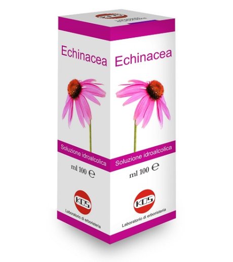 ECHINACEA SOL IAL PIANTA FR100