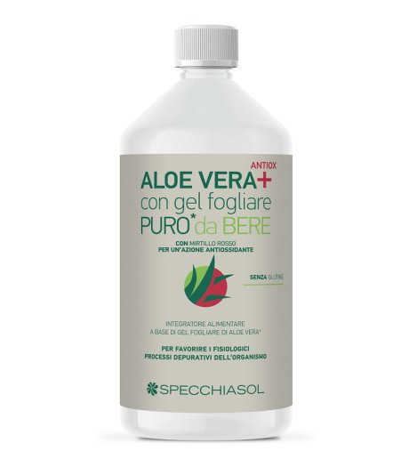 SUCCO ALOEVERA+ ALOE/MIRT R1LT