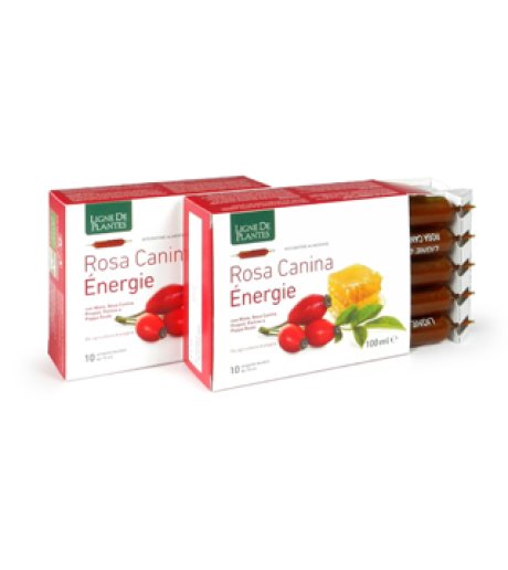 ROSA CANINA ENERGIE BIO 10AB