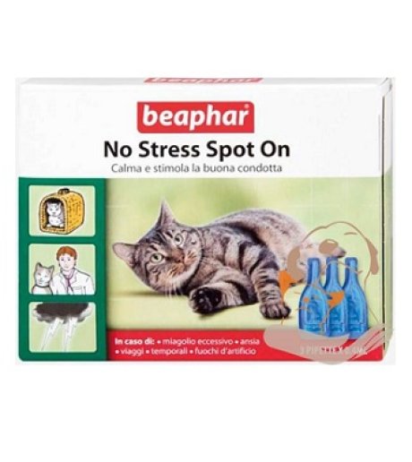 NO STRESS SPOT ON GATTO 3 PIP