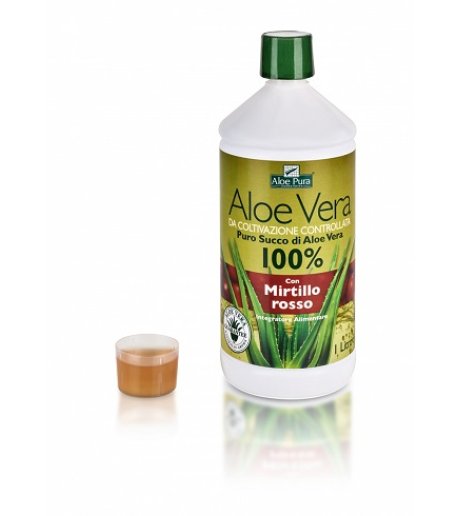 ALOE VERA SUCCO MIRTILLO 1L