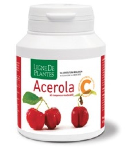 ACEROLA BIO 60CPR MASTICABILI<