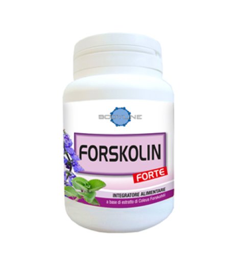 FORSKOLIN FORTE 60CPS