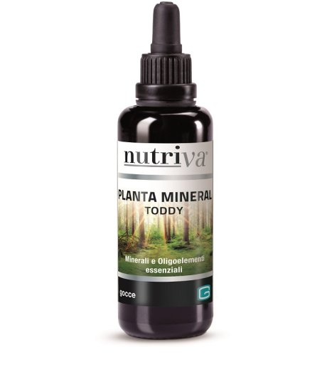 NUTRIVA PLANTA MINERAL TODDY 50M