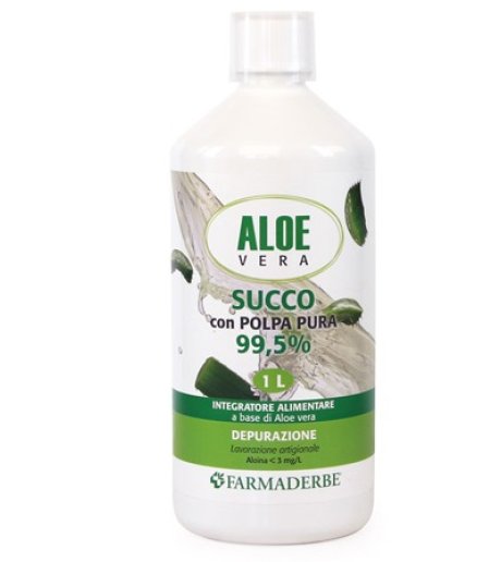 ALOE VERA SUCCO POLPA 1000ML