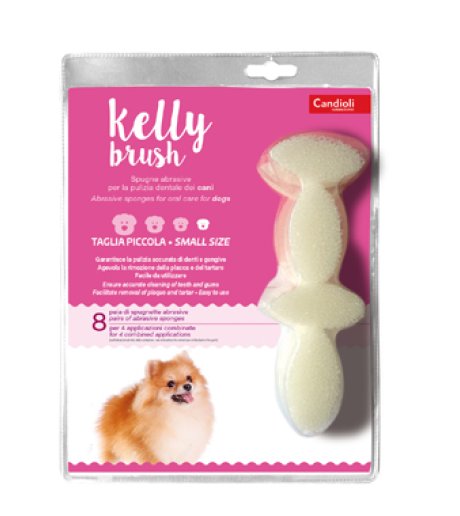 KELLY BRUSH Spugnetta Pic.16pz