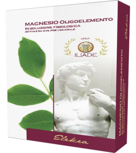 MAGNESIO OLIGOELEMENTO 20FX2ML