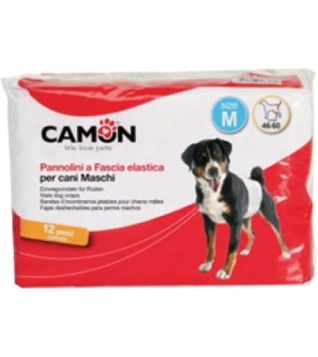 PANNOLINO FASCIA PER CANI MASC