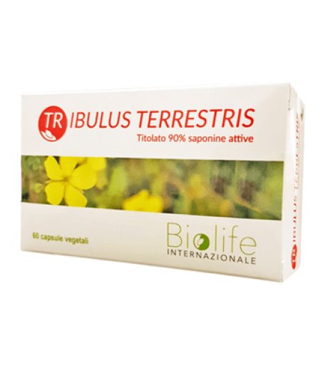 TRIBULUS TERRESTRIS 60CPR