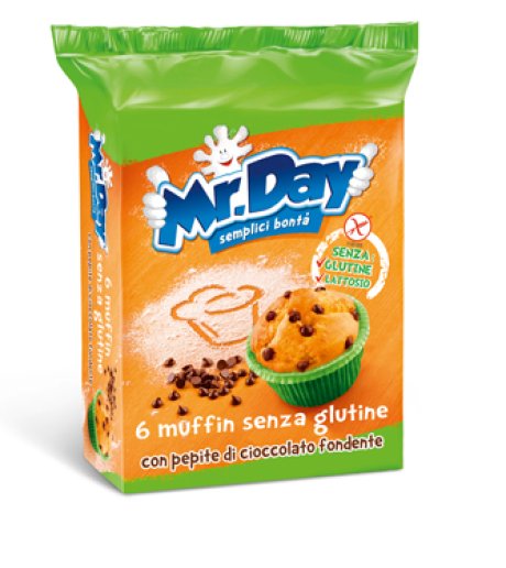 MR DAY Muffin Ciocc.6x42g