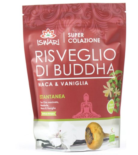 RISVEGLIO BUDDHA MACA VAN