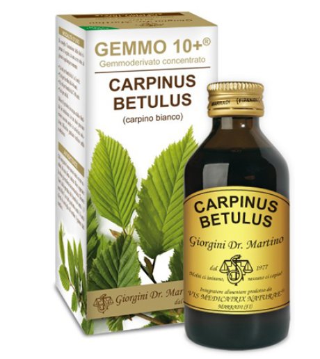 CARPINO BI 100ML ANALCO GEM10+