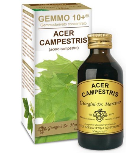 ACERO CAMP 100ML ANALCO GEM10+