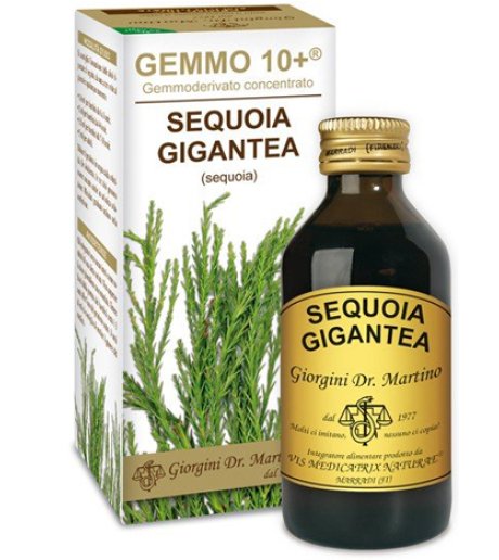 SEQUOIA 100ML ANALCO GEMMO 10+