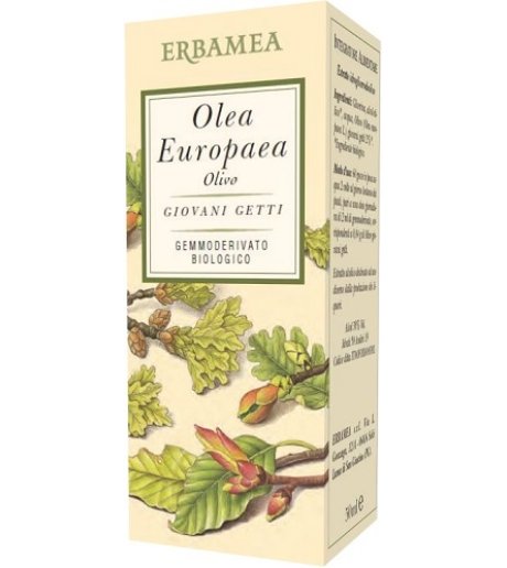 OLEA EUROPEA OLIVO 50ML