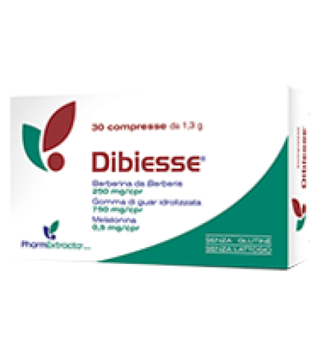 DIBIESSE 30CPR