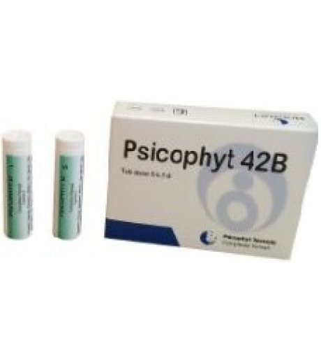 PSICOPHYT REMEDY 42B 4TUB 1,2G