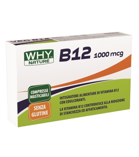 WHYNATURE B12 1000MCG 80CPR