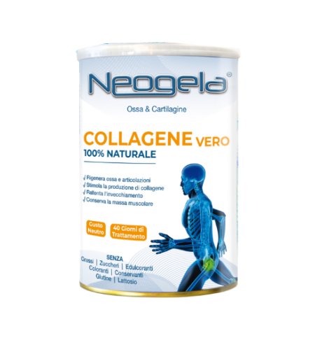 NEOGELA POLVERE 400GR ZETA 92