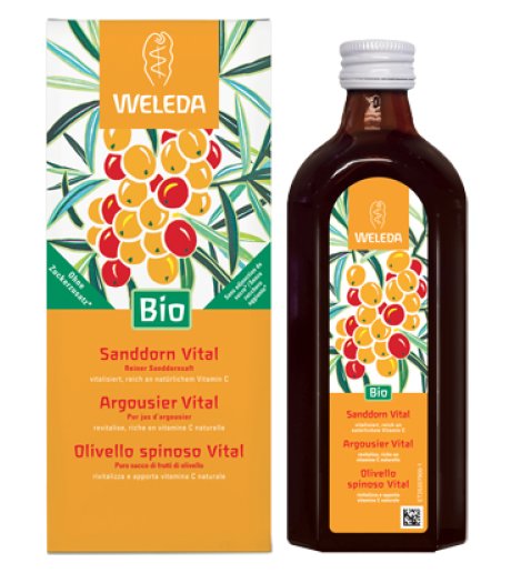 OLIVELLO SPINOSO VITAL SUCCO