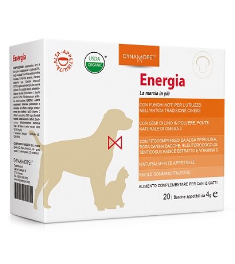 ENERGIA 20BUST 4G