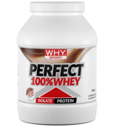 PERFECT 100%WHEY CACAO 900G