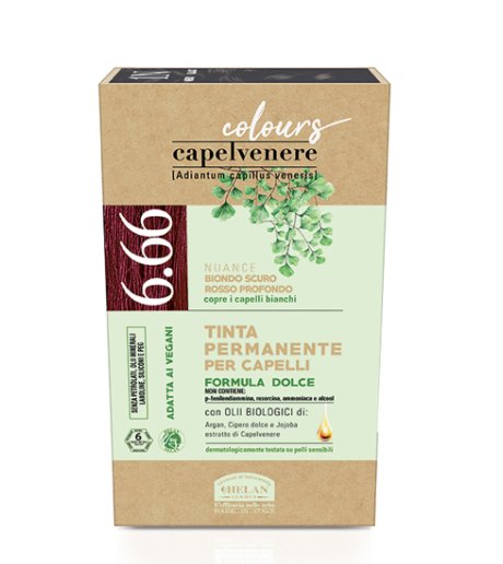 CAPELVENERE TINTA CAP 6,66N BI