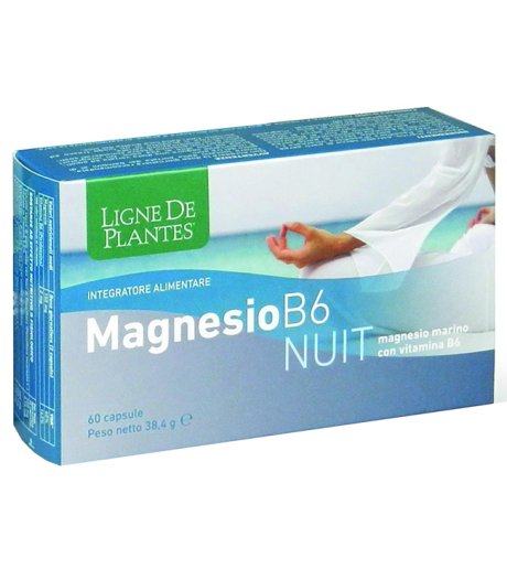 MAGNESIO B-6 NUIT 72CPS