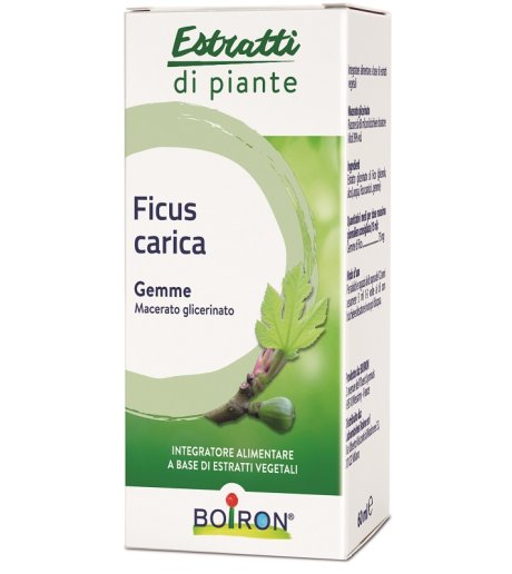 FICUS CARICA MG 60ML INT BO