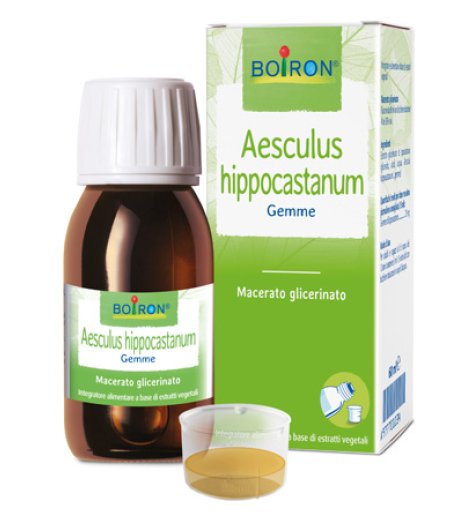 AESCULUS HIP MG 60ML INT BO