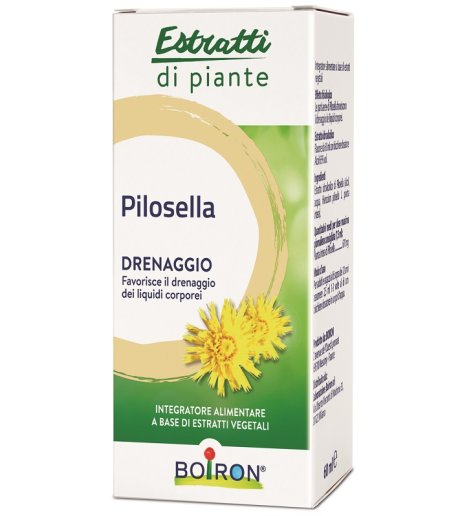 PILOSELLA EI 60ML BO