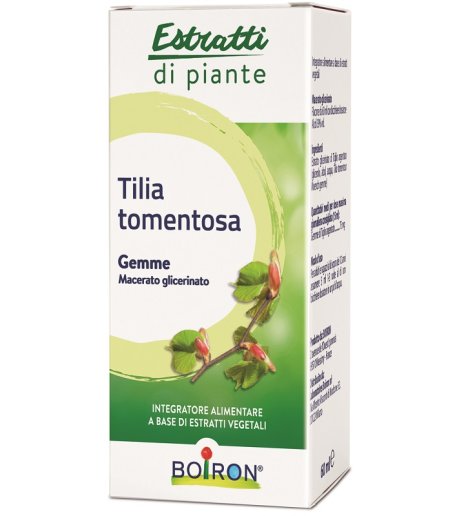 TILIA TOMENTOSA MG 60ML INT