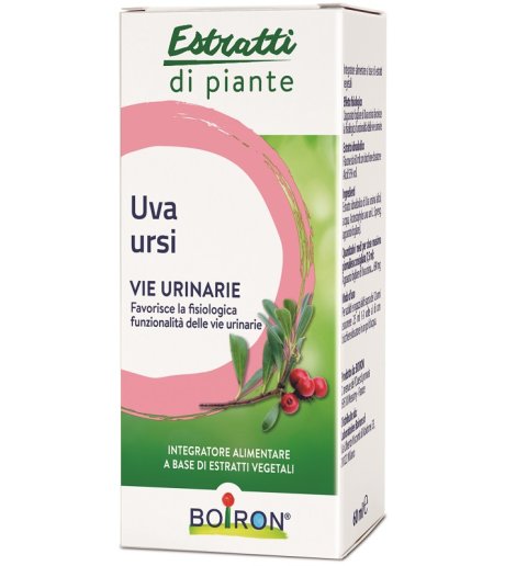 UVA URSINA EI 60ML INT BO