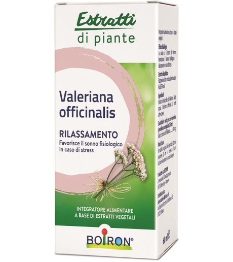 VALERIANA OFF EI 60ML INT BO