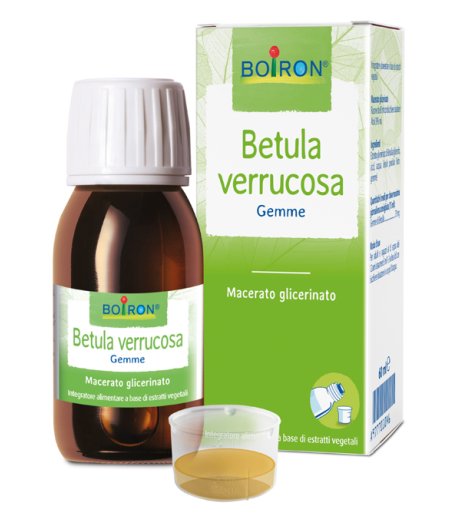 BETULA VERRUCO MG 60ML INT