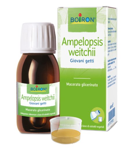 AMPELOPSIS WEI MG 60ML INT