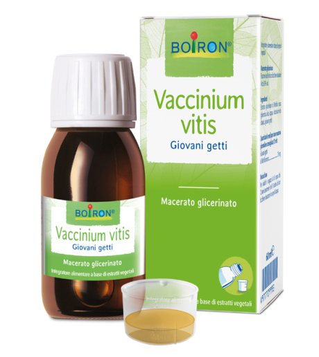 VACCINIUM VITIS MG 60ML INT