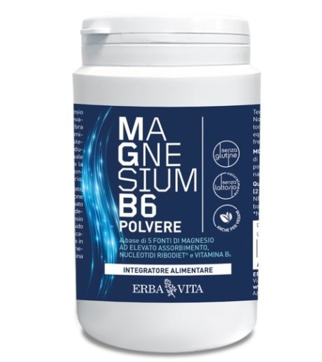 MAGNESIUM B6 POLV 200GR ERBA V