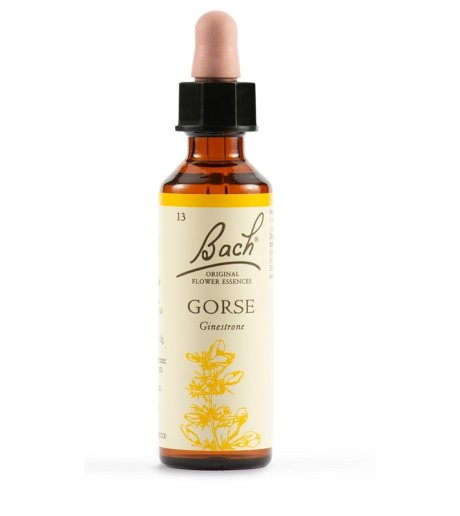 BACH GORSE BACH ORIG 20ML