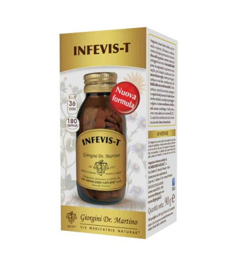 INFEVIS-T 180 Past.