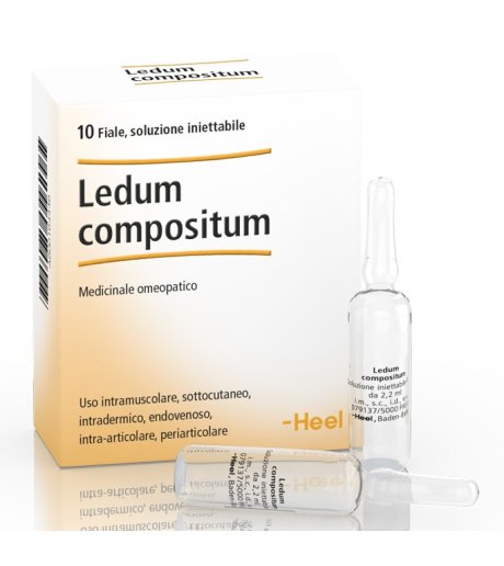 Ledum Comp 10f 2,2ml Heel