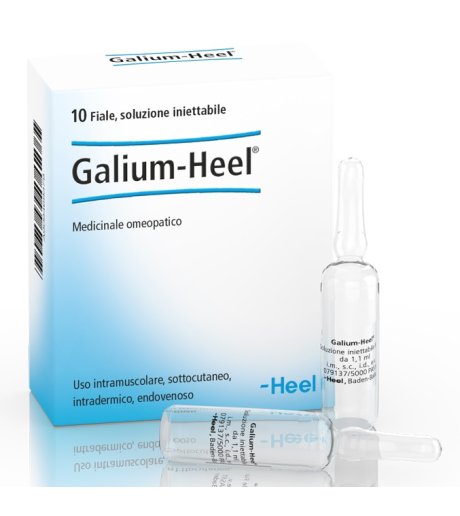 Galium 10f 1,1ml Heel