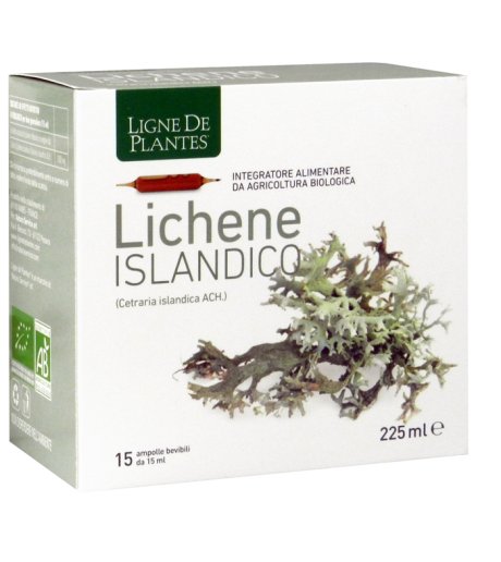 LICHENE ISLANDICO 15AMPX15ML